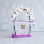 جعبه گل شماره 117