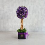 لیسینتوس- گلفروشی آنلاین VIP Shop