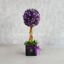 لیسینتوس- گلفروشی آنلاین VIP Shop