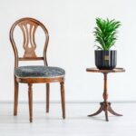 گیاه آپارتمانی دراسنا کامپکت برای نگهداری در فضای سربسته مناسب است