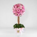 باکس درختی لیسیانتوس (3) - VIP Shop