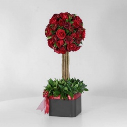 باکس درختی رز قرمز (12) - VIP Shop