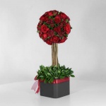 باکس درختی رز قرمز (14) - VIP Shop