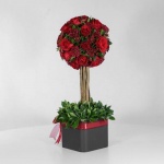 باکس درختی رز قرمز (15) - VIP Shop