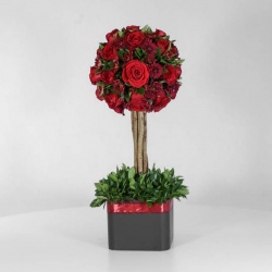 باکس درختی رز قرمز (20) - VIP Shop