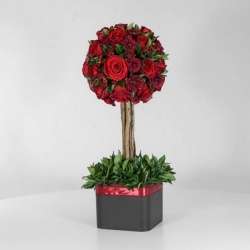 باکس درختی رز قرمز (21) - VIP Shop