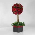 باکس درختی رز قرمز (23) - VIP Shop