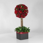 باکس درختی رز قرمز (25) - VIP Shop