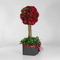 باکس درختی رز قرمز (30) - VIP Shop