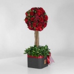 باکس درختی رز قرمز (31) - VIP Shop