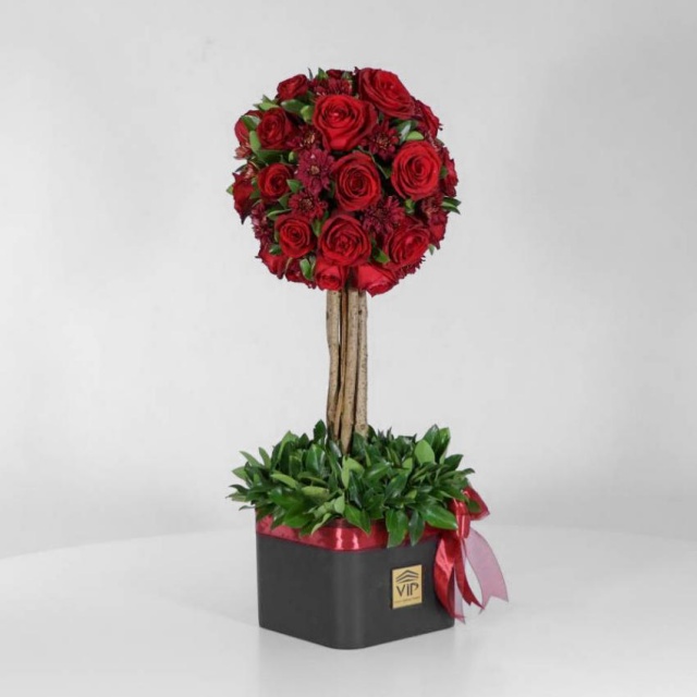 باکس درختی رز قرمز (33) - VIP Shop