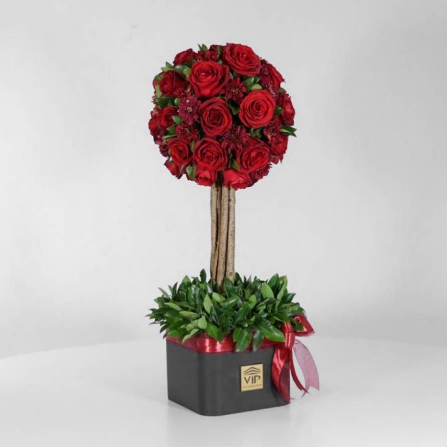 خرید باکس رز