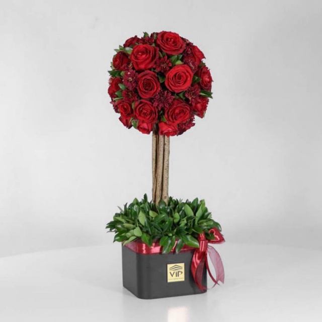 باکس درختی رز قرمز