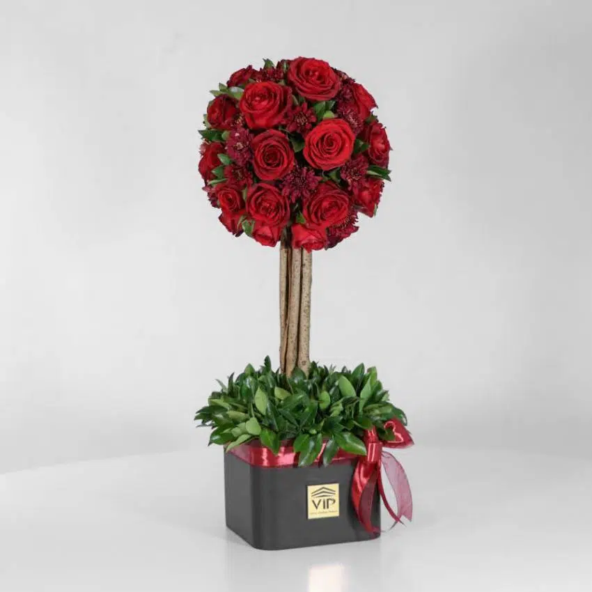 باکس درختی رز قرمز