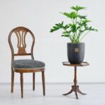 ابعاد گل برگ انجیری مناسب است.