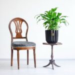 اسپاتی فیلوم متوسط از بالا