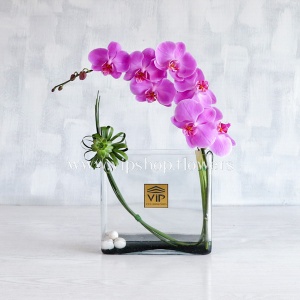 جعبه گل شماره 116