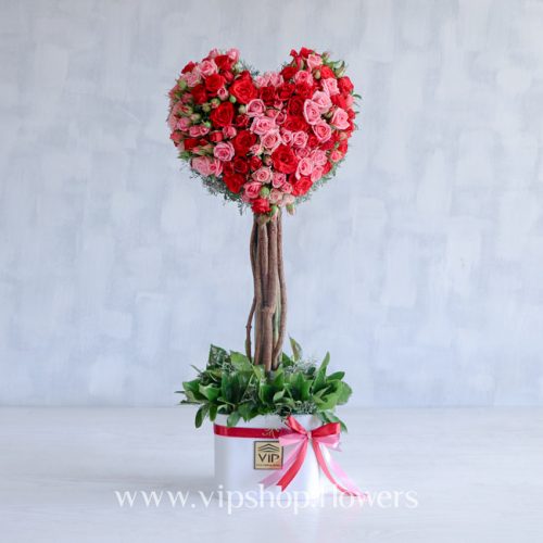 گل رز قلب درختی - باکس گل رز مینیاتوری
