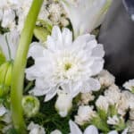 گل داوودی سفید در ترحیم رومیزی نماد پاکی است.