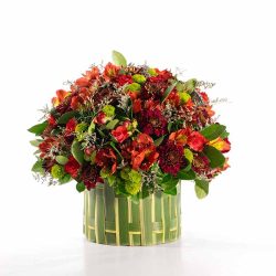باکس گل B129 - 32
