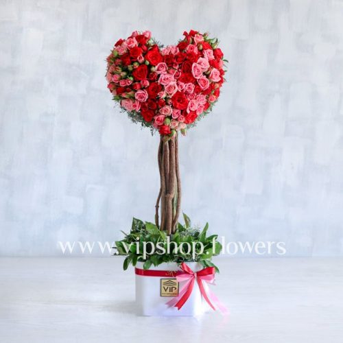 گل رز قلب درختی - باکس گل رز مینیاتوری