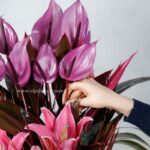 سبد گل رز آنتوریوم و اورینتال- گلفروشی آنلاین VIP Shop