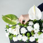 جعبه گل رز آنتوریوم داوودی-جعبه گل میهمانی شماره 92