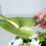 جعبه گل رز آنتوریوم داوودی-جعبه گل میهمانی شماره 92