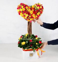 گل رز قلب درختی - باکس گل رز مینیاتوری