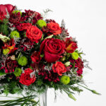 گل رز قرمز برای بیان احساسات عالی عمل می کند.