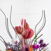 قیمت باکس گل اروپایی از نزدیک