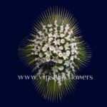 تاج گل شماره 51