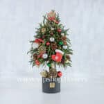 گل کریسمس ارزان- گلفروشی آنلاین VIP Shop