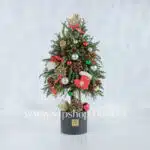 گل کریسمس ارزان- گلفروشی آنلاین VIP Shop