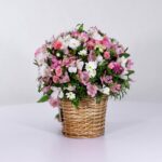 سبد فانتزی رز آلستر (10)