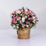 سبد فانتزی رز آلستر (11)