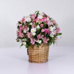 سبد فانتزی رز آلستر (12)