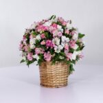 سبد فانتزی رز آلستر (15)