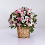 سبد فانتزی رز آلستر (16)