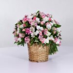 سبد فانتزی رز آلستر (17)