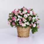 سبد فانتزی رز آلستر (19)