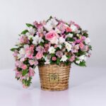 سبد فانتزی رز آلستر (2)