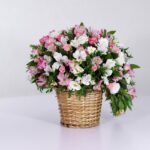 سبد فانتزی رز آلستر (20)