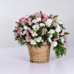 سبد فانتزی رز آلستر (21)