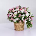 سبد فانتزی رز آلستر (22)