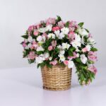 سبد فانتزی رز آلستر (23)