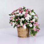 سبد فانتزی رز آلستر (25)