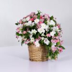 سبد فانتزی رز آلستر (26)