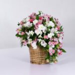 سبد فانتزی رز آلستر (27)