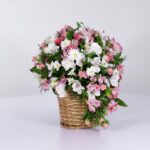 سبد فانتزی رز آلستر (28)